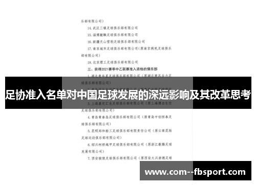 足协准入名单对中国足球发展的深远影响及其改革思考