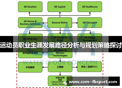 运动员职业生涯发展路径分析与规划策略探讨