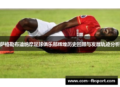 萨格勒布迪纳摩足球俱乐部辉煌历史回顾与发展轨迹分析